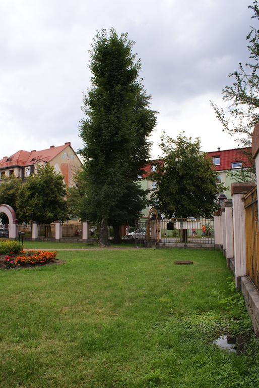 Villa Bergera Dzierżoniów 外观 照片